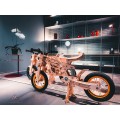 Apoyii Moonwalker Tora Balance Bicycle Apoyii Moonwalker Tora Balance Bicycle